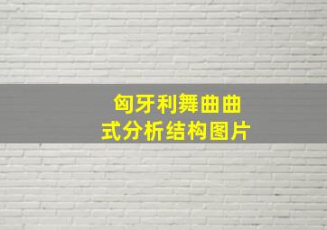 匈牙利舞曲曲式分析结构图片