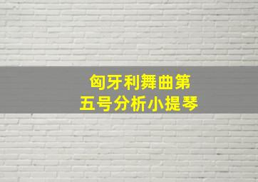 匈牙利舞曲第五号分析小提琴