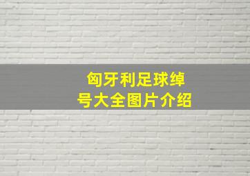 匈牙利足球绰号大全图片介绍