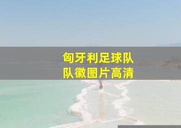 匈牙利足球队队徽图片高清