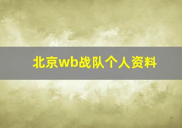 北京wb战队个人资料