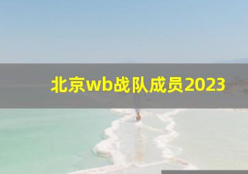 北京wb战队成员2023