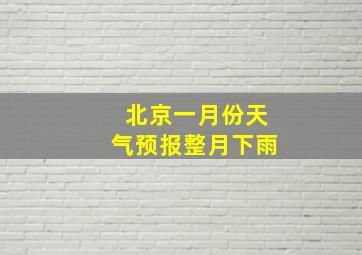 北京一月份天气预报整月下雨