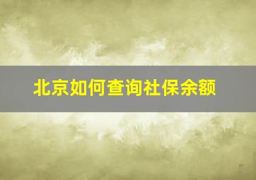 北京如何查询社保余额