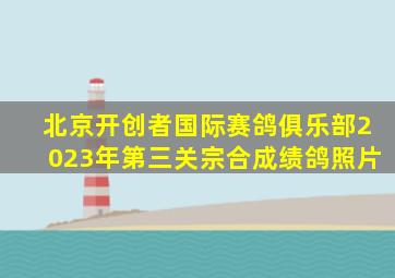 北京开创者国际赛鸽俱乐部2023年第三关宗合成绩鸽照片