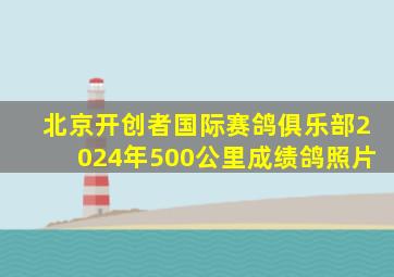 北京开创者国际赛鸽俱乐部2024年500公里成绩鸽照片