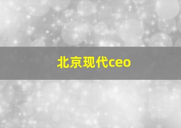 北京现代ceo