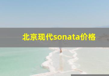 北京现代sonata价格