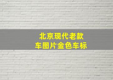 北京现代老款车图片金色车标