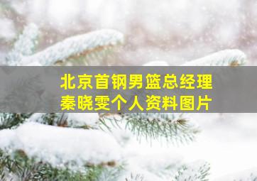 北京首钢男篮总经理秦晓雯个人资料图片