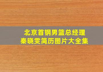 北京首钢男篮总经理秦晓雯简历图片大全集