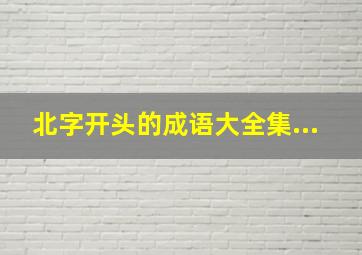 北字开头的成语大全集...