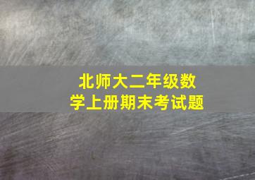 北师大二年级数学上册期末考试题