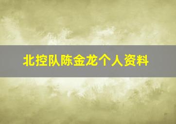 北控队陈金龙个人资料