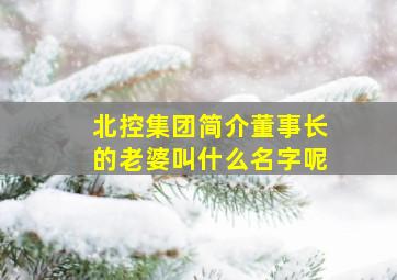 北控集团简介董事长的老婆叫什么名字呢