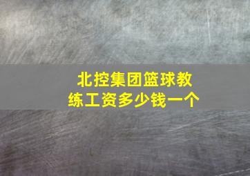 北控集团篮球教练工资多少钱一个