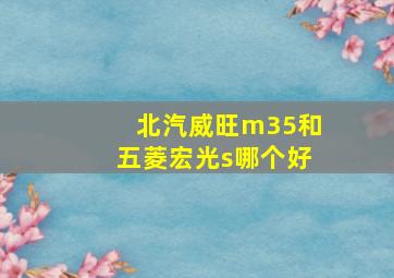 北汽威旺m35和五菱宏光s哪个好