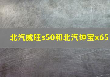 北汽威旺s50和北汽绅宝x65