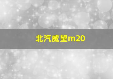 北汽威望m20