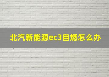 北汽新能源ec3自燃怎么办