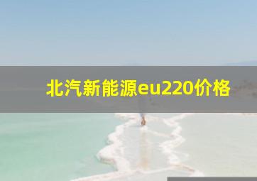 北汽新能源eu220价格