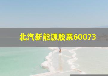 北汽新能源股票60073