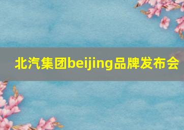 北汽集团beijing品牌发布会