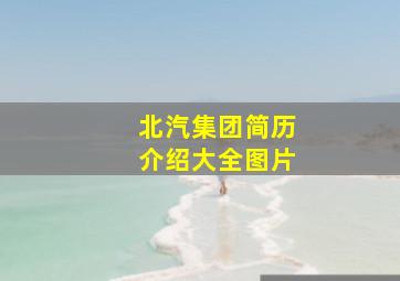 北汽集团简历介绍大全图片