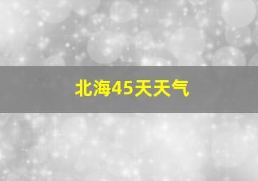 北海45天天气