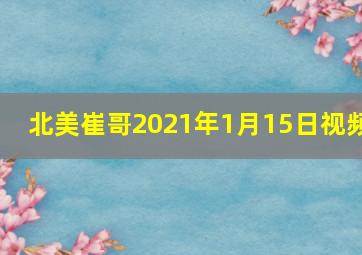 北美崔哥2021年1月15日视频