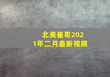 北美崔哥2021年二月最新视频