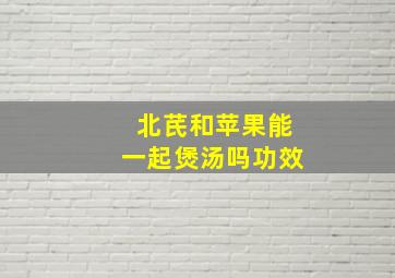 北芪和苹果能一起煲汤吗功效