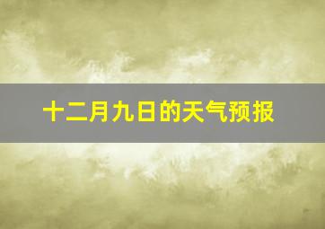 十二月九日的天气预报