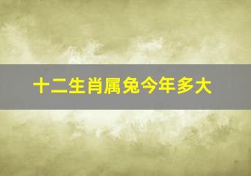 十二生肖属兔今年多大