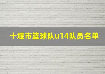 十堰市篮球队u14队员名单