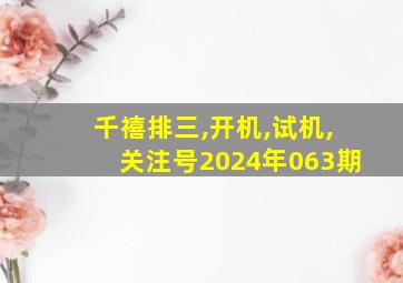 千禧排三,开机,试机,关注号2024年063期