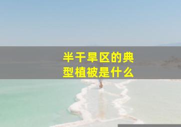 半干旱区的典型植被是什么