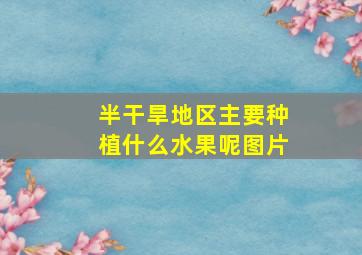 半干旱地区主要种植什么水果呢图片