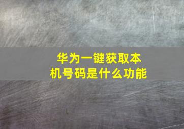 华为一键获取本机号码是什么功能