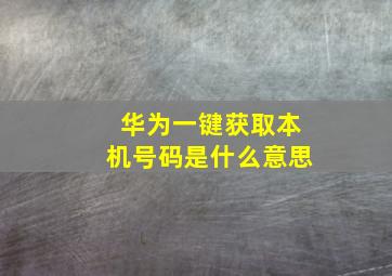 华为一键获取本机号码是什么意思