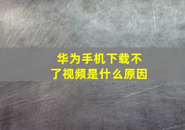 华为手机下载不了视频是什么原因