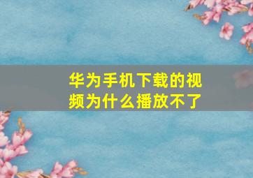 华为手机下载的视频为什么播放不了