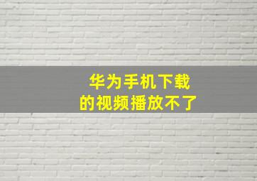 华为手机下载的视频播放不了