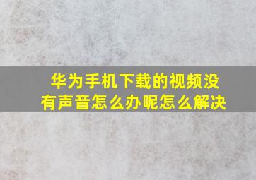 华为手机下载的视频没有声音怎么办呢怎么解决