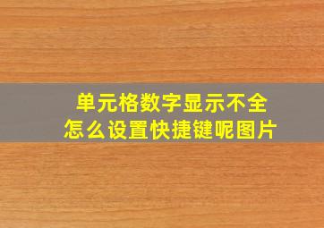 单元格数字显示不全怎么设置快捷键呢图片