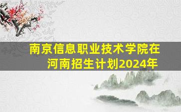 南京信息职业技术学院在河南招生计划2024年