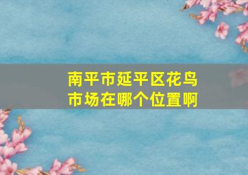 南平市延平区花鸟市场在哪个位置啊