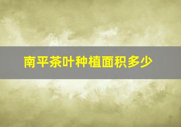 南平茶叶种植面积多少