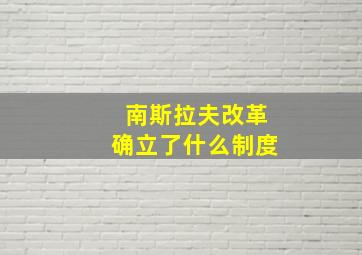 南斯拉夫改革确立了什么制度