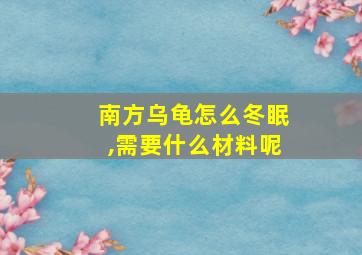 南方乌龟怎么冬眠,需要什么材料呢